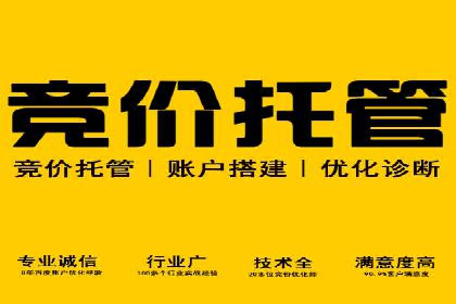 SEM托管服务案例：优化策略与效果展示